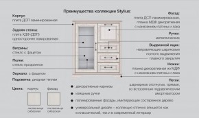 Прихожая модульная Стилиус в Петропавловске - petropavlovsk.magazinmebel.ru | фото - изображение 2